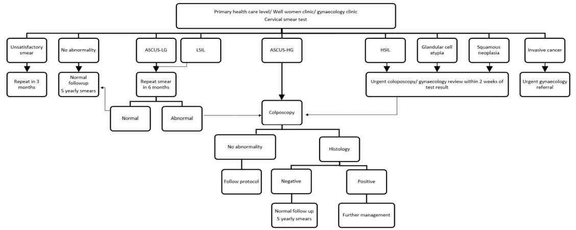 Figure from Guidance for Cervical Screening and Management in the Sri Lankan Health Care System