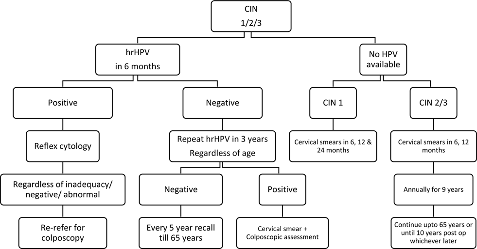 Figure from Guidance for Cervical Screening and Management in the Sri Lankan Health Care System
