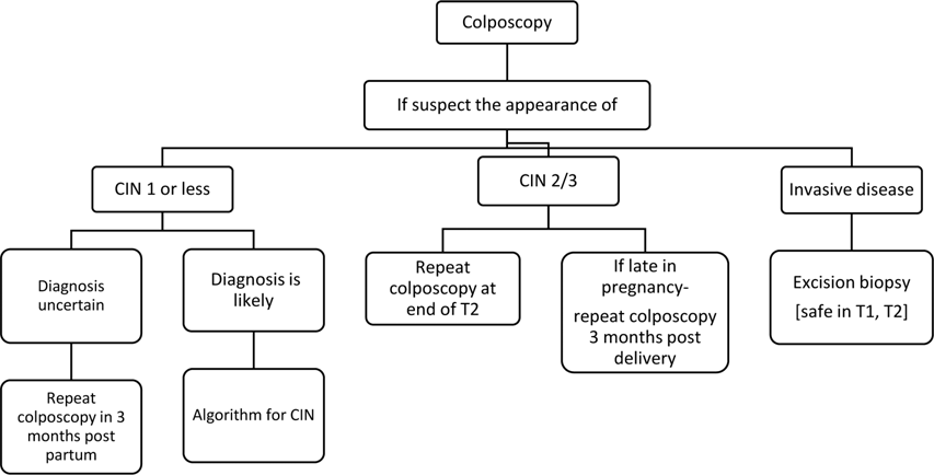 Figure from Guidance for Cervical Screening and Management in the Sri Lankan Health Care System