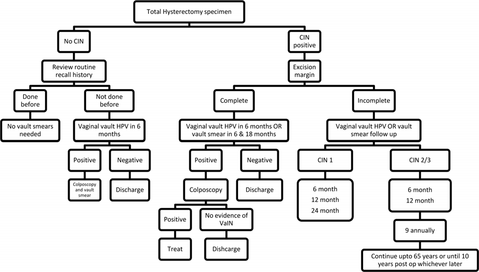 Figure from Guidance for Cervical Screening and Management in the Sri Lankan Health Care System