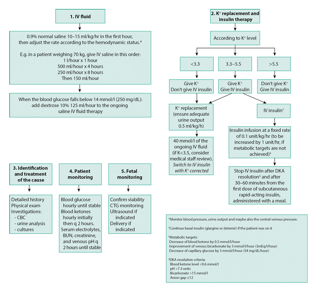 Figure from Hyperglycaemia in Pregnancy