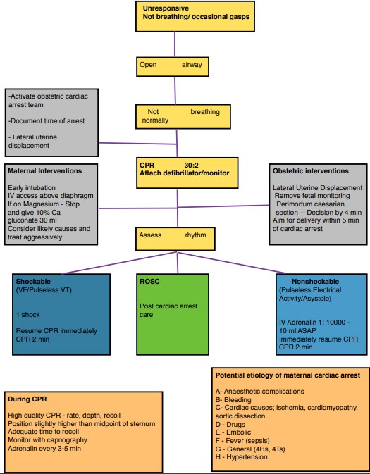 Figure from Immediate Resuscitation Following Maternal Collapse During Pregnancy