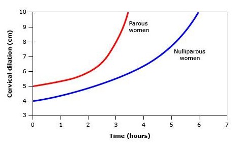 Figure from Management of Normal Labour