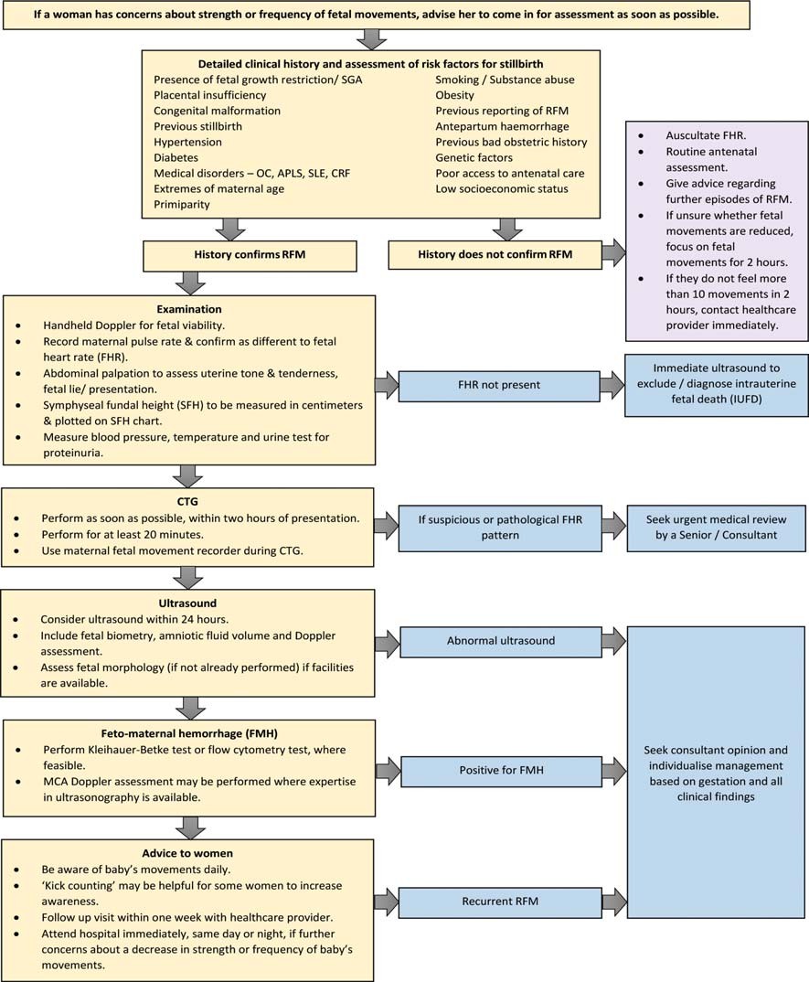 Figure from Managing Reduced Fetal Movements